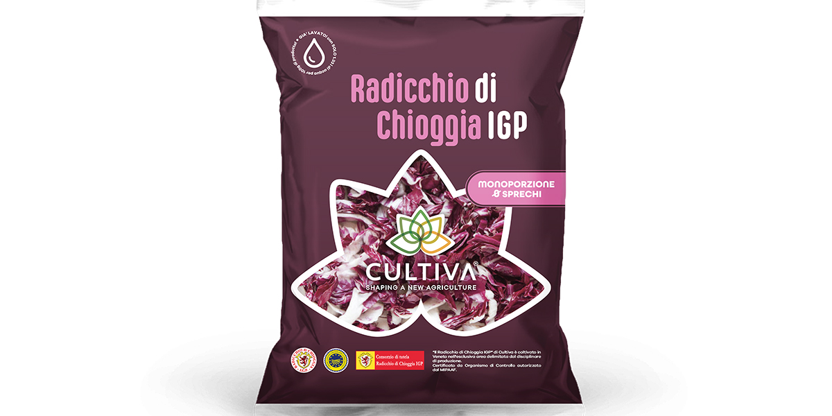 Cultiva, sugli scaffali torna il radicchio di Chioggia tardivo